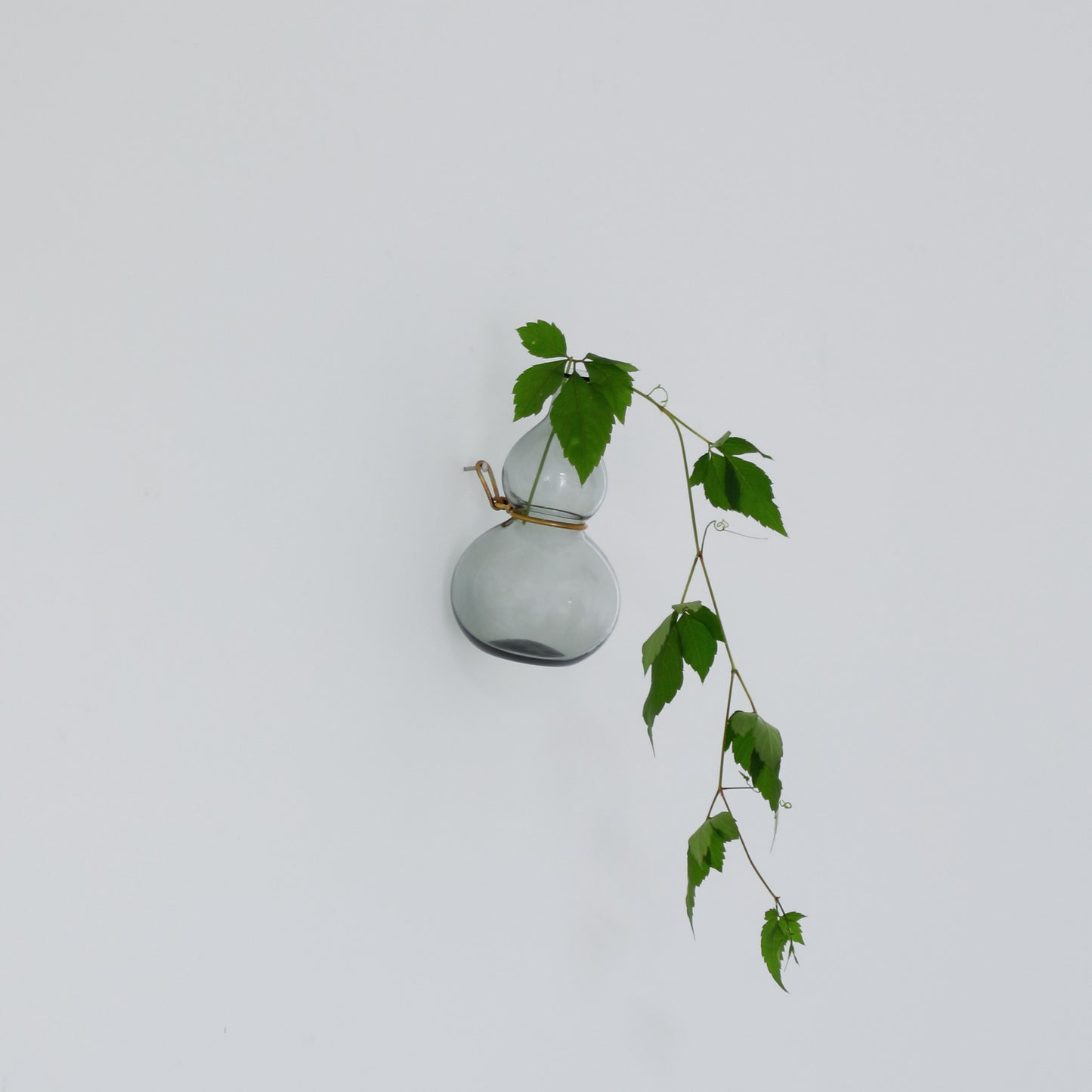 藍瓢掛花入 B