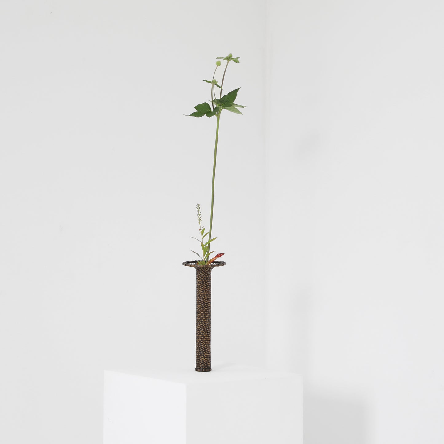 あじろ広口　黒