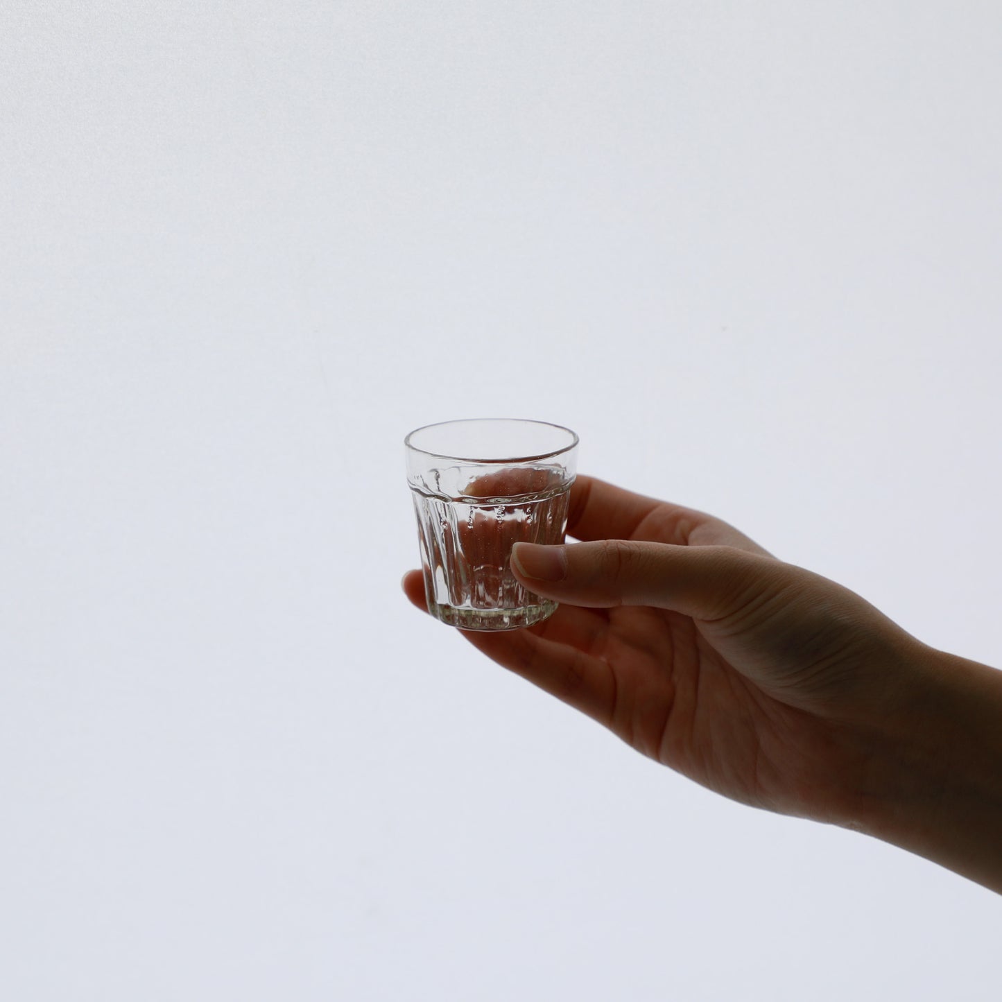 モール酒呑