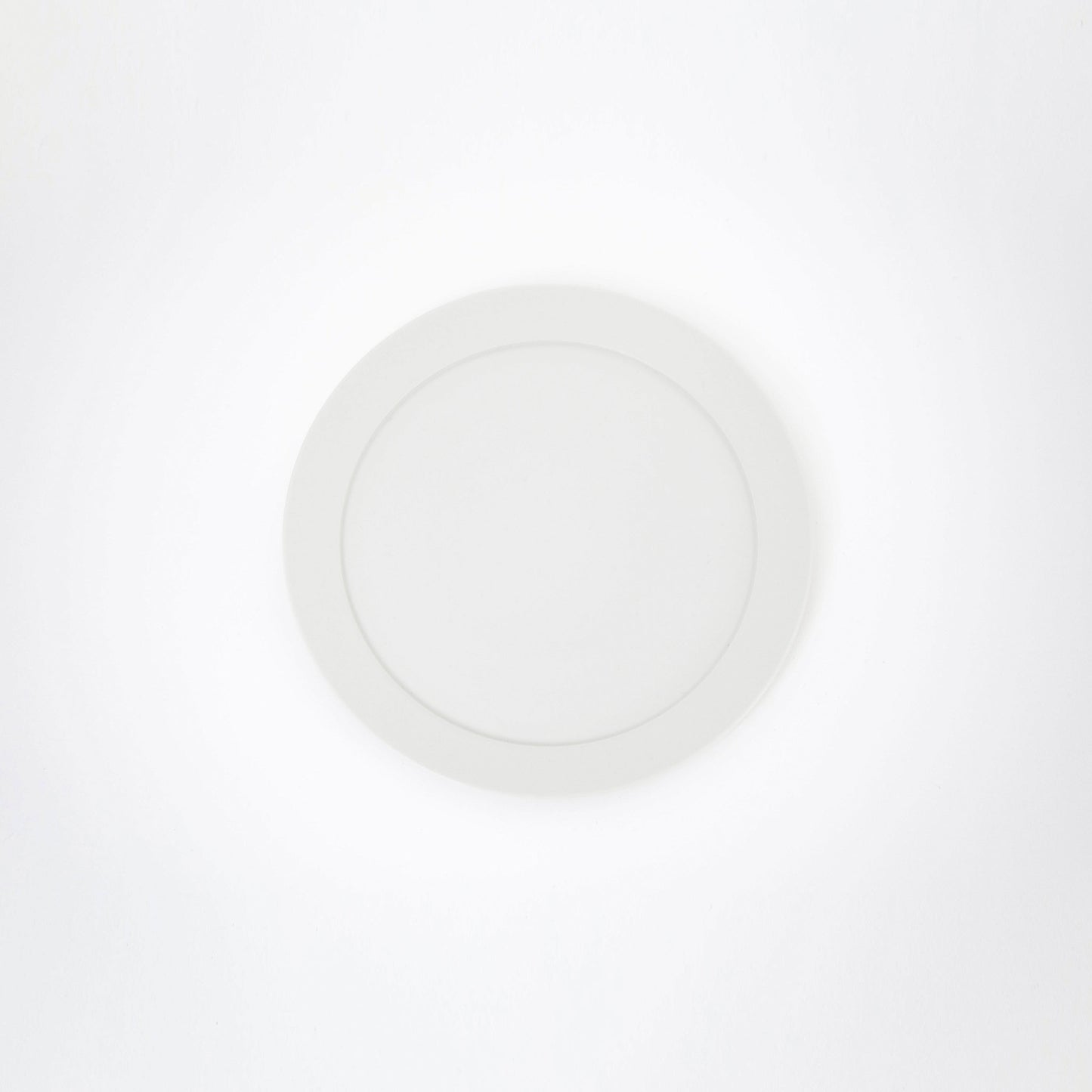 洋皿　20cm