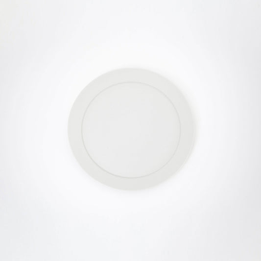 洋皿　20cm